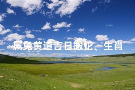 生肖属兔2026年3月出行黄道吉日一览表